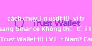 cách chuyển usdt từ ví trust wallet sang binance Không thể tải Trust Wallet tại Việt Nam? Cách khắc phục